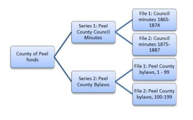 Peel County flow chart